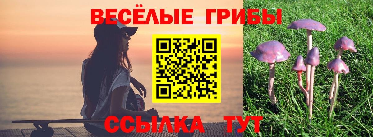 Галлюциногенные грибы Psilocybe Азнакаево